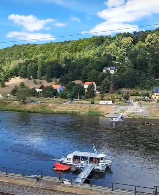 Elbblick Apartment Konigstein an der Elbe Luaran gambar