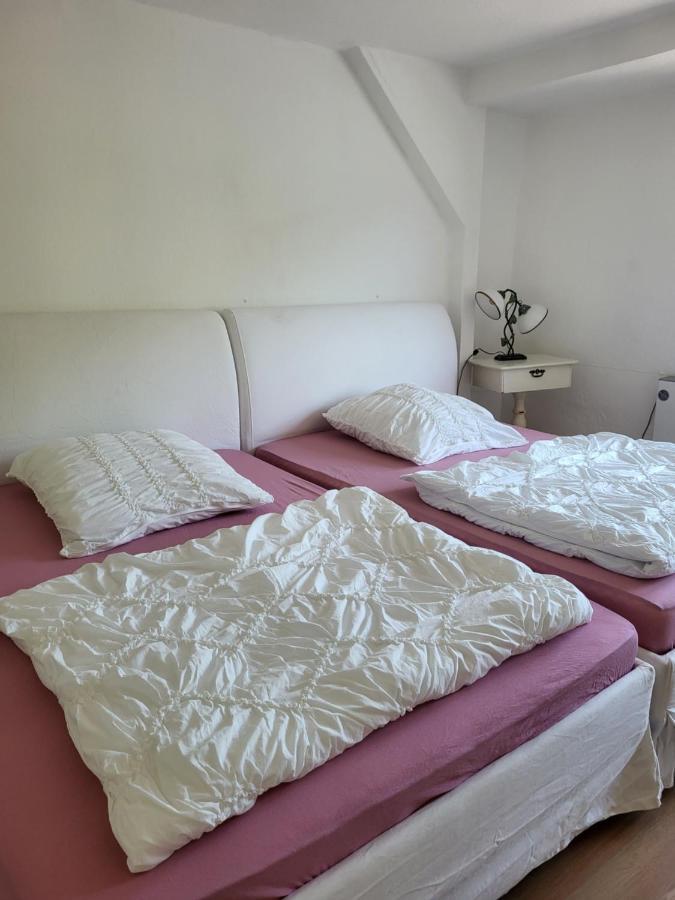 Elbblick Apartment Konigstein an der Elbe Luaran gambar